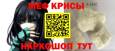 ешки Кингисепп