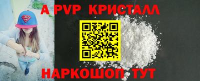 ешки Кингисепп