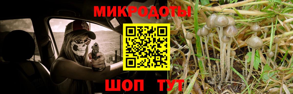 Галлюциногенные грибы Cubensis Гусь-Хрустальный