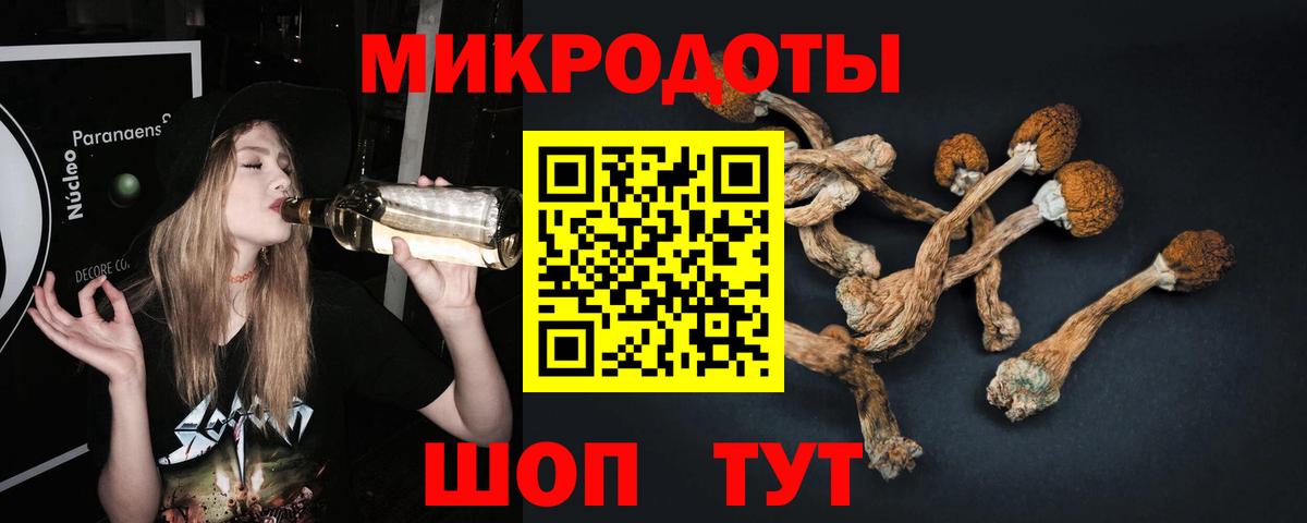 купить наркоту  Вход с VPN  Гусь-Хрустальный  Галлюциногенные грибы Magic Shrooms  Псилоцибиновые грибы MAGIC MUSHROOMS 